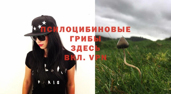крисы Бугульма