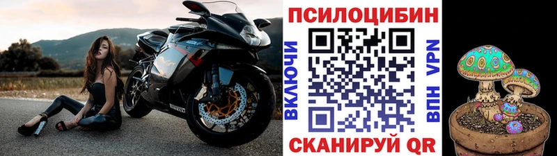 Галлюциногенные грибы GOLDEN TEACHER  Можайск 